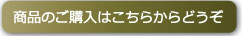 商品のご購入はGIShopから